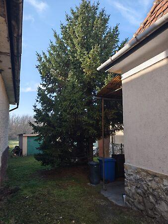 Balaton, Balatonfűzfő 3. képe