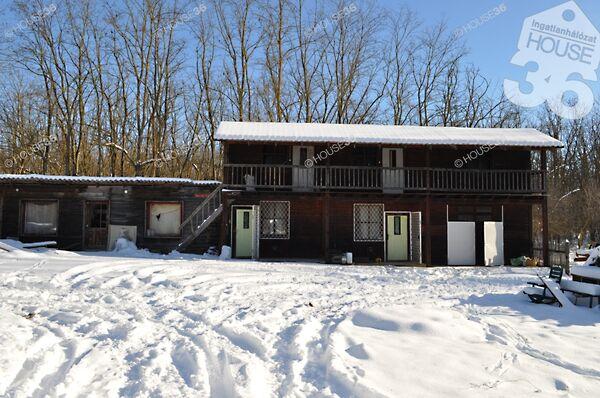 Nyárlőrinc 3. képe