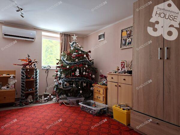 Kiskunfélegyháza 3. képe