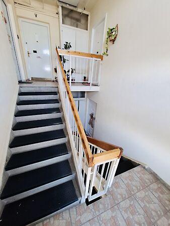 Molnár, Szeged 2. képe