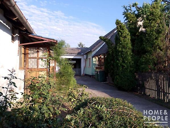 Hódmezővásárhely 3. képe