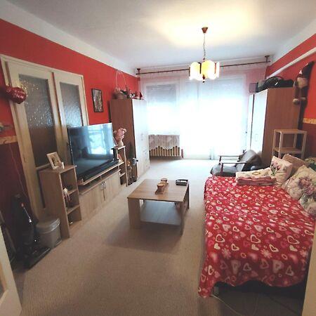 Csokonai, Mezőkövesd képe