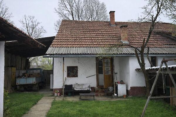 Károlyi, Hódmezővásárhely képe