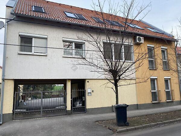 Endresz György, Pécs képe