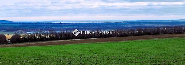 Tölgyfa, Alsópáhok képe