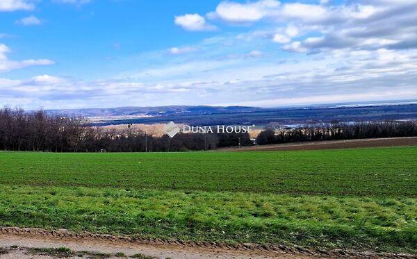 Tölgyfa, Alsópáhok 3. képe