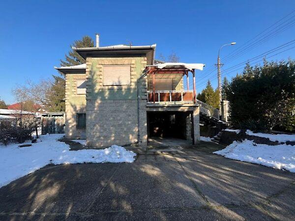 Hunyadi János, Dunakeszi képe