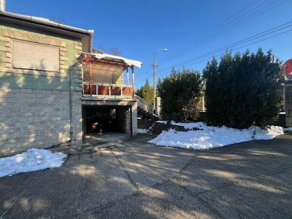 Hunyadi János, Dunakeszi 2. képe