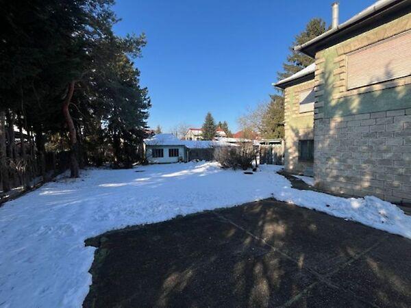 Hunyadi János, Dunakeszi 3. képe