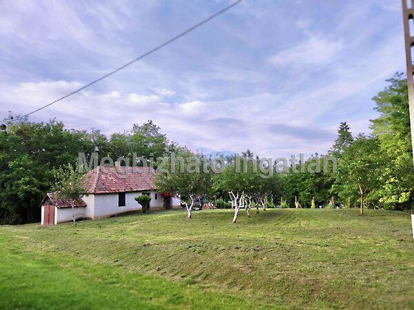 Kehidakustány 3. képe