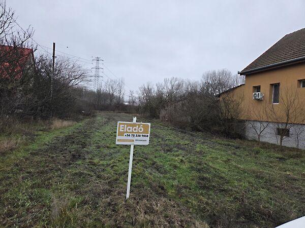 Nyárfasor, Dabas képe