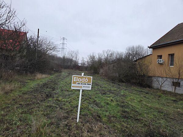 Nyárfasor, Dabas 2. képe