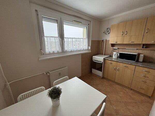 Rózsa, Tiszaújváros 2. képe