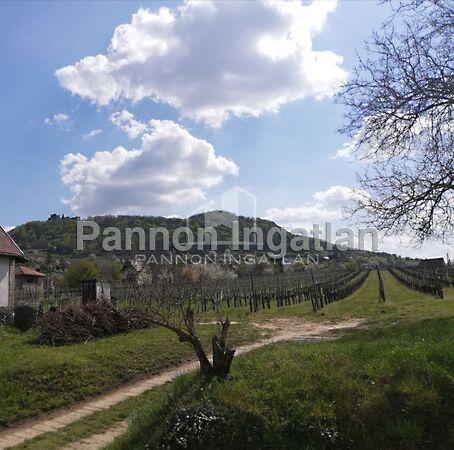 Somlószőlős 3. képe