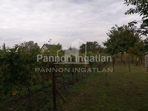 Somlószőlős 2. képe