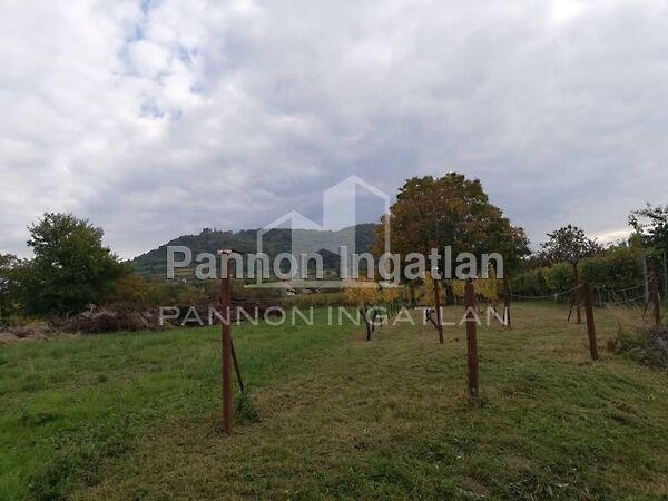 Somlószőlős képe