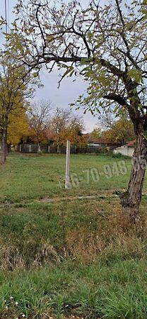 Jókai, Békés képe