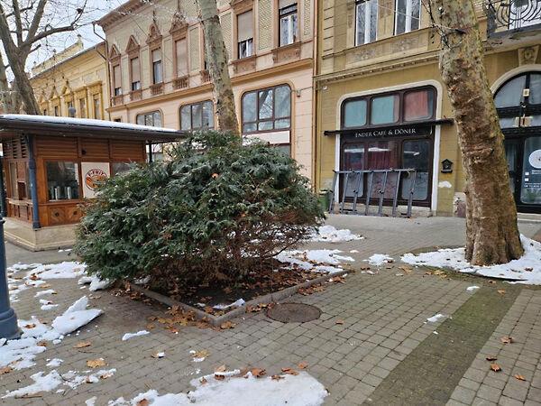 Noszlopy Gáspár, Kaposvár képe