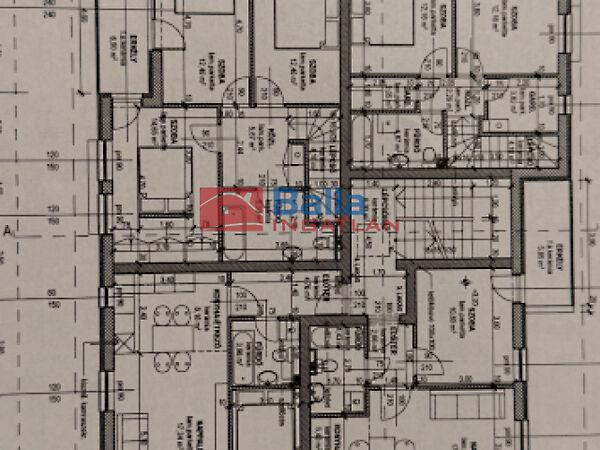 Zebra, Budapest, XVI. kerület 2. képe