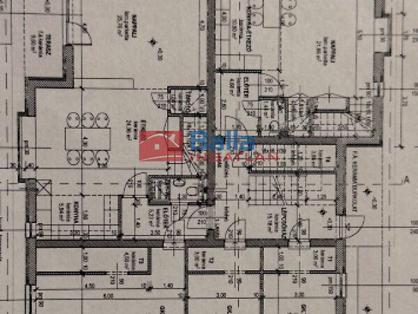 Zebra, Budapest, XVI. kerület 3. képe