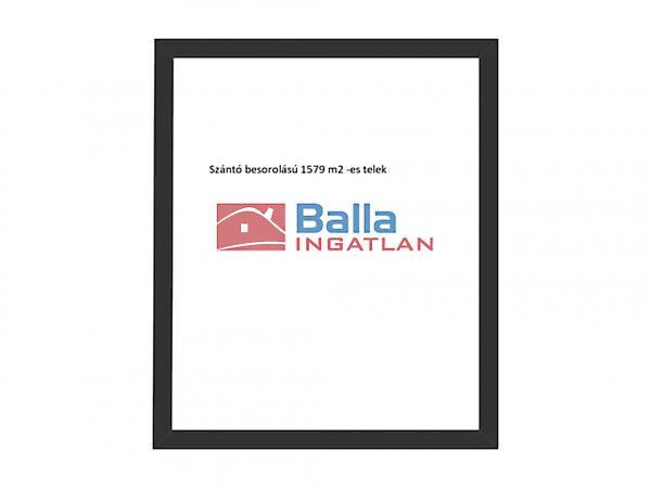 Természet központú, Monor 2. képe