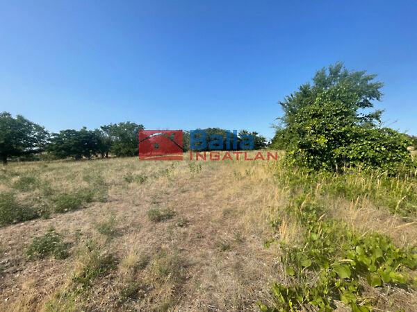 Városközpont közeli, Cegléd képe