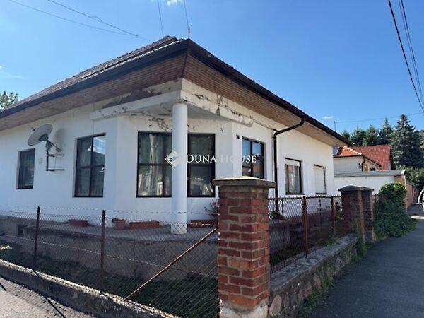 Faludi Ferenc, Pécs képe