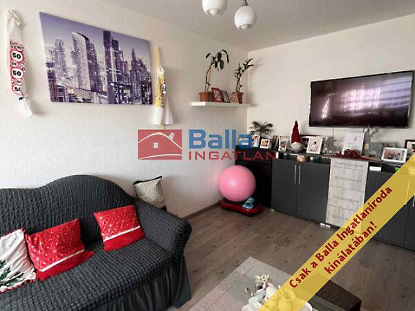 Zsókavár, Budapest, XV. kerület 3. képe