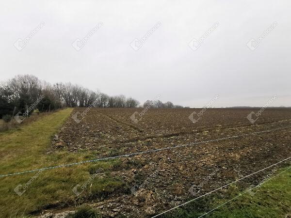 Sármellék 2. képe