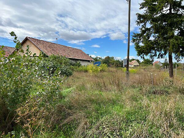 Petőfi, Zámoly 2. képe