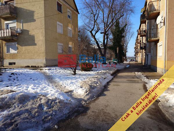 Bányász, Bodajk képe