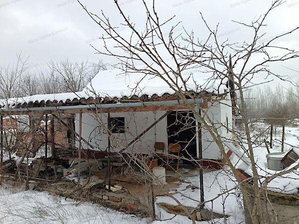 Kiskunhalas 2. képe