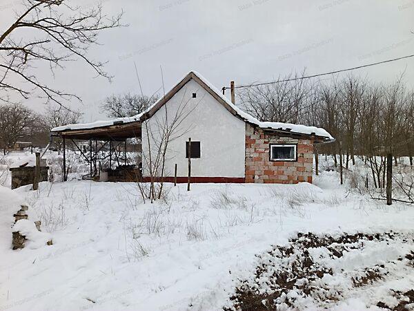 Kiskunhalas 3. képe