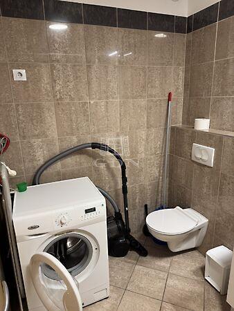 Holló, Budapest, VII. kerület 2. képe