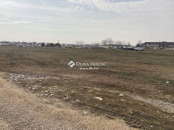 Géza, Algyő 3. képe