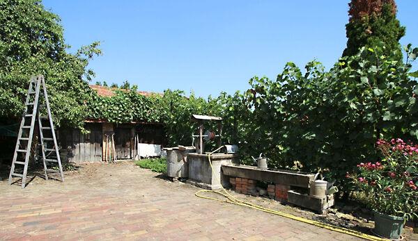 Békéscsaba 3. képe