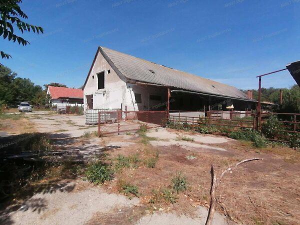 Hódmezővásárhely képe