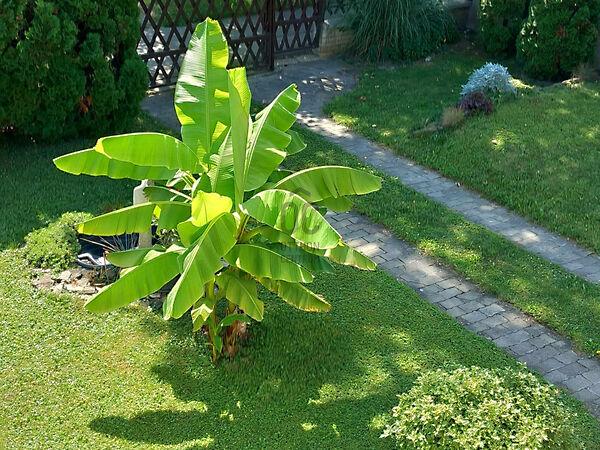 Zalaegerszeg 2. képe