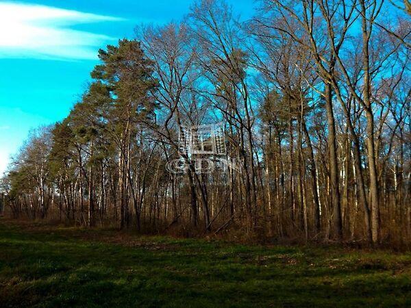 Dunasor, Tököl képe