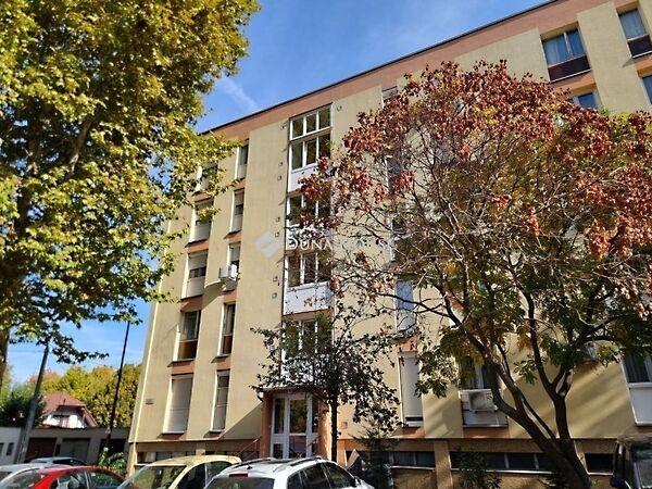 Lívia, Pécs 3. képe