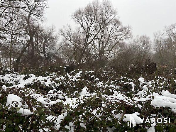 Budakalász 2. képe