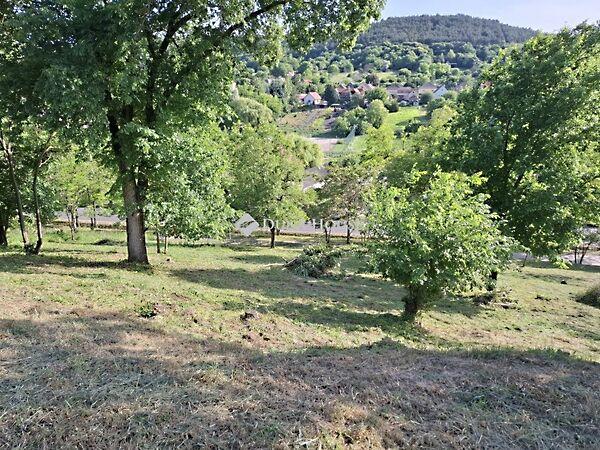 Béke, Csabdi 2. képe