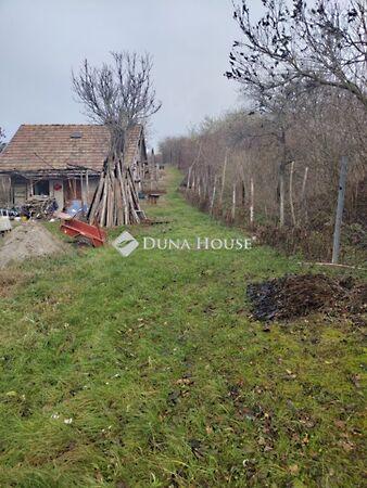 Május 1., Bicske 3. képe