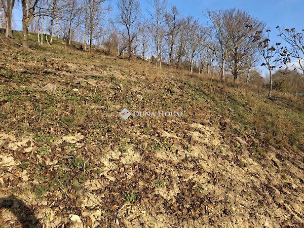 Béke, Csabdi 2. képe