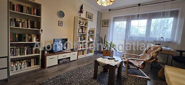 Dunaújváros 2. képe