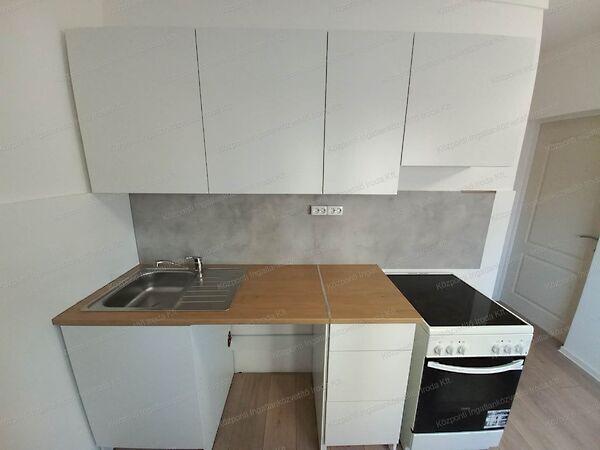 Táncsics, Oroszlány képe