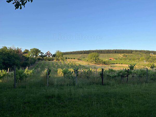 Balatonlelle 2. képe