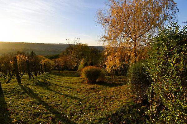 Zalaegerszeg 3. képe