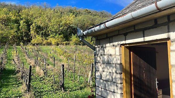 Zalaszentgrót képe