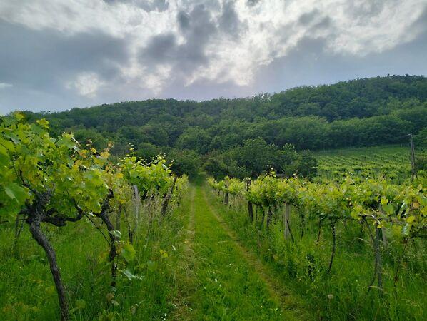 Zalaszentgrót 2. képe